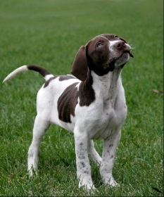 point2_400 point2_400